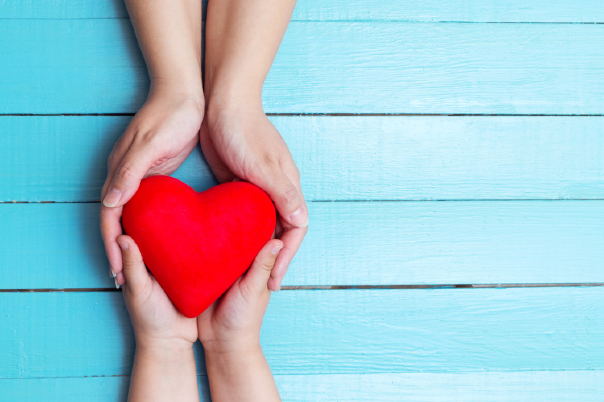 민주주의 구축을 위한 새로운 지평을 열다