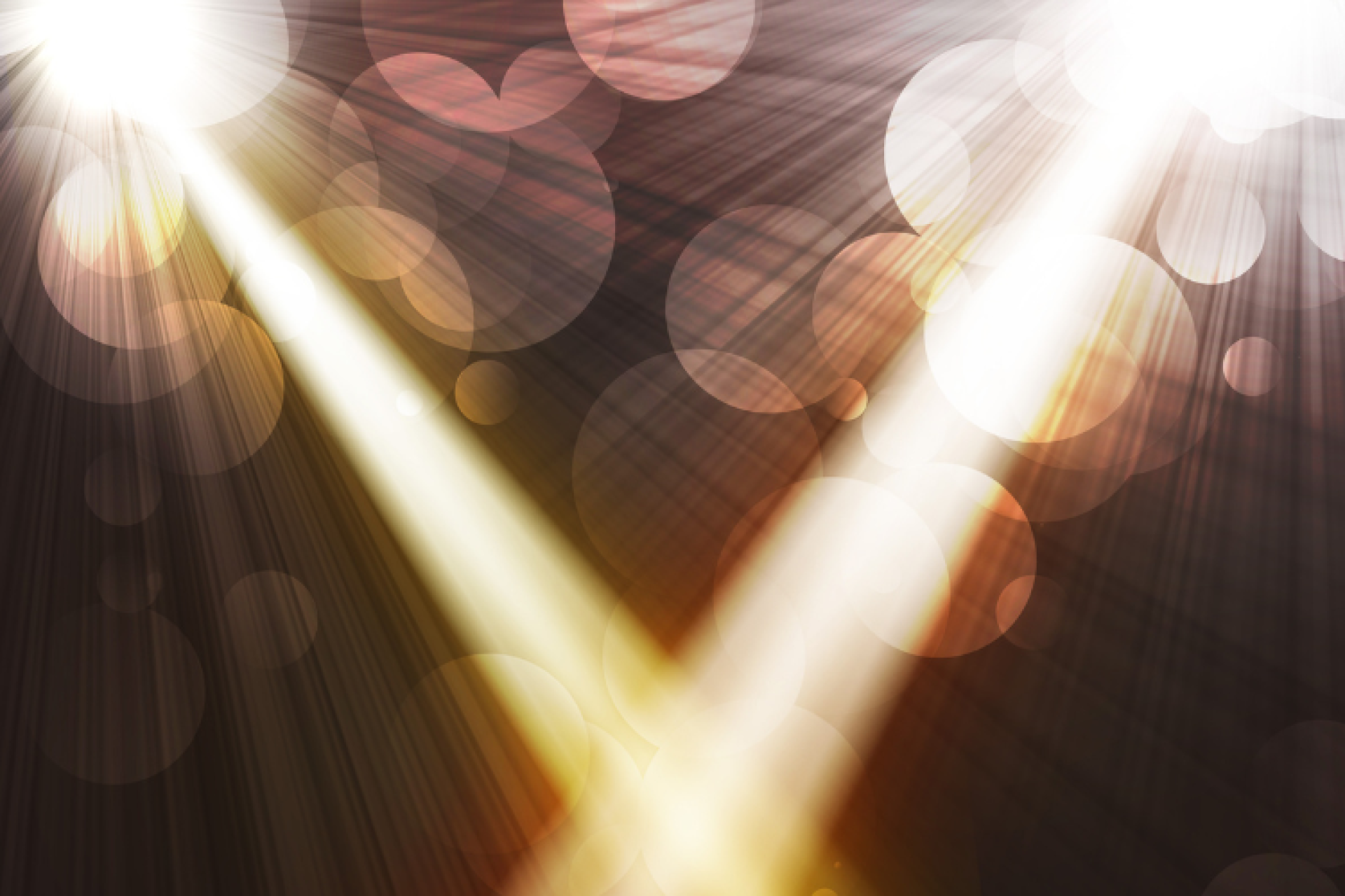 Coup de projecteur : Kangela Moore, nouveau membre du conseil d'administration