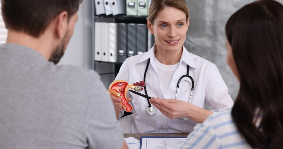 Soutenir la l&eacute;gislation sur la justice reproductive &agrave; New York